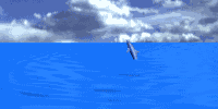 dolphin imej-animasi-gif